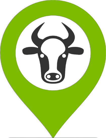 Sensor 1 Icon